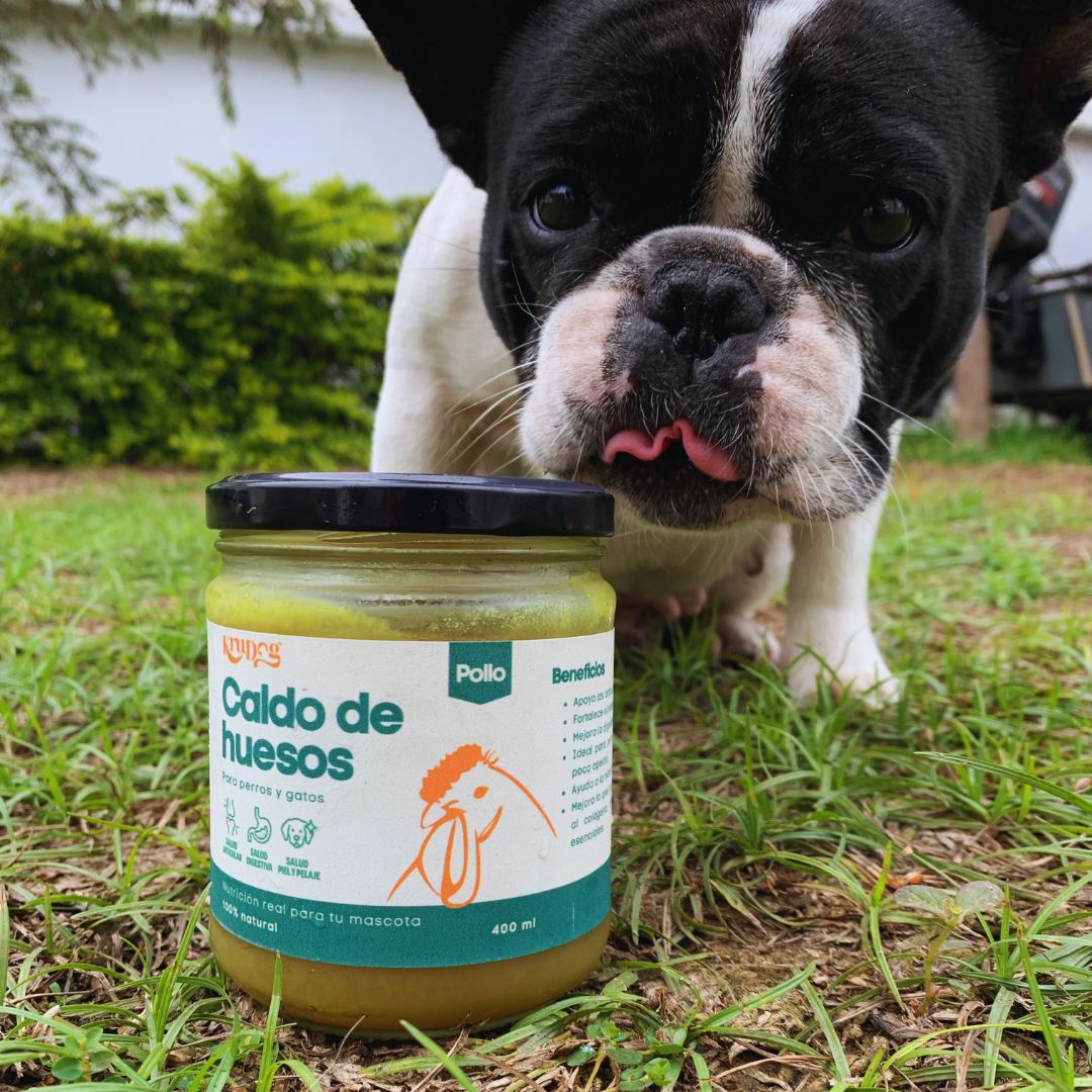 Caldo de Huesos Natural para Perros